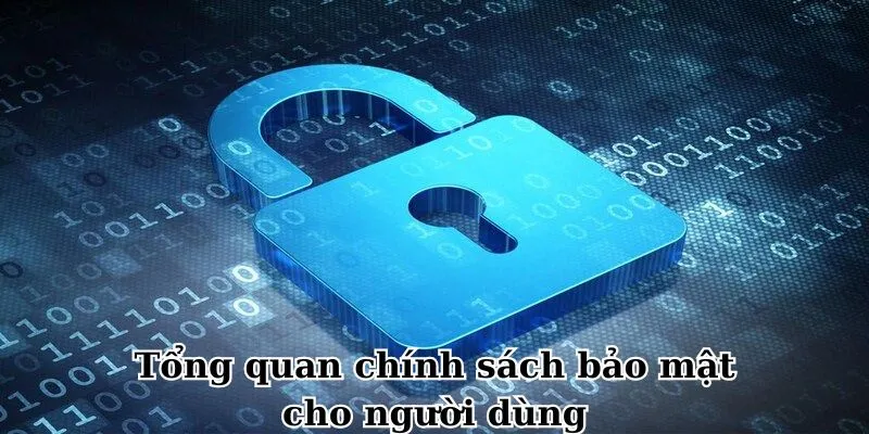 Tổng quan chính sách bảo mật cho người dùng