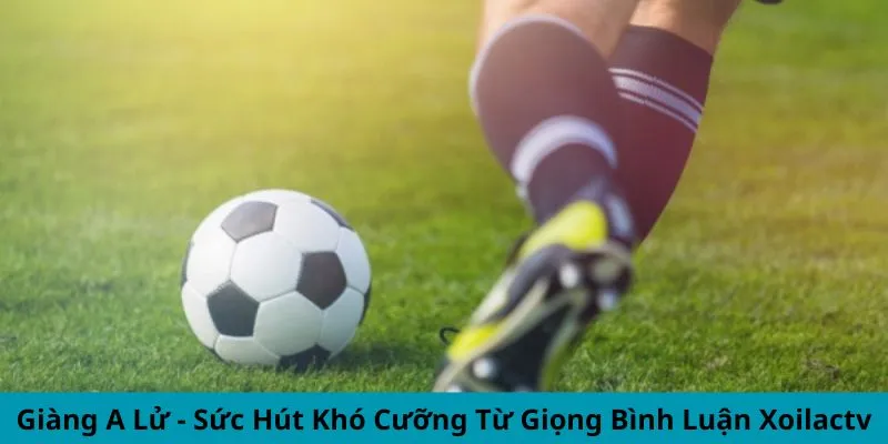 Ảnh đại diện giàng a lử