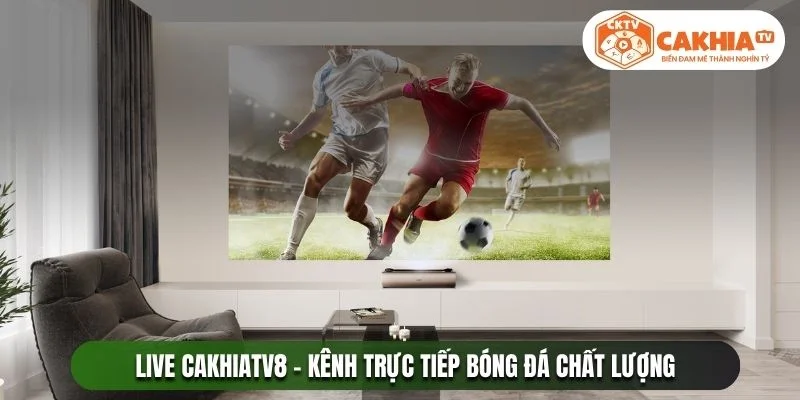 cakhiatv8.online trực tiếp bóng đá