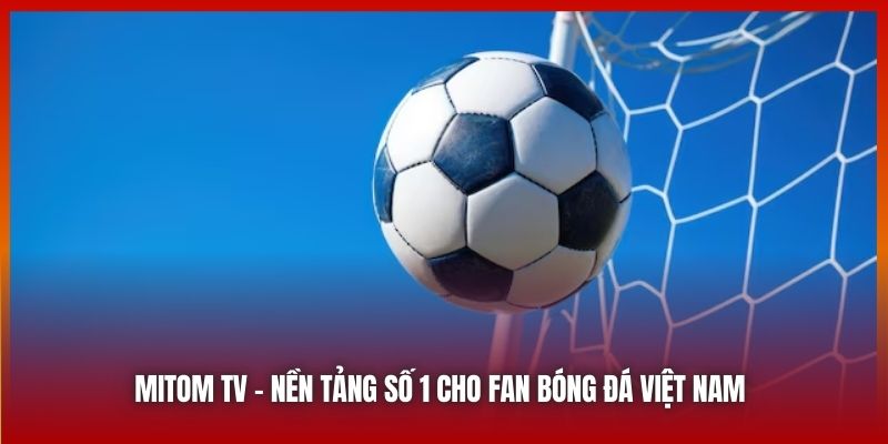 Mitom TV - Nơi Gặp Gỡ Của Những Tín Đồ Bóng Đá