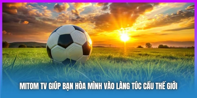 Mitom TV Kênh Xem Bóng Đá Trực Tuyến Chất Lượng Cao Miễn Phí